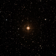 HD 42042