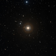 NSV 13848