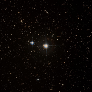 HD 41841