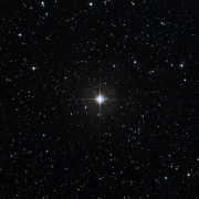 <span style='text-transform:none;'>7781-698-1</span>