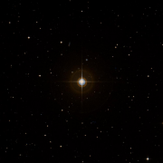 HIP 19554