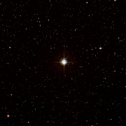 HIP 81300