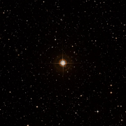 HR 7905
