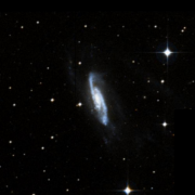 NGC 3981