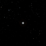 HIP 19736