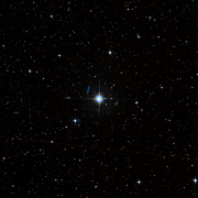 HIP 81687