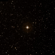 HD 42486