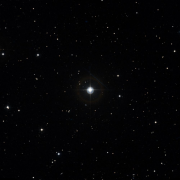 HD 81361