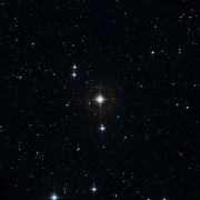 NSV 13662