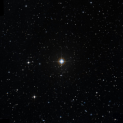 NSV 13686
