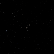 NGC 305
