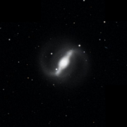 UGC 7443