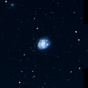 UGC 8443