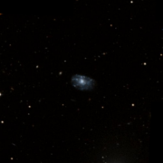 UGC 9036