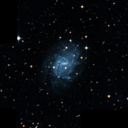 NGC 5556