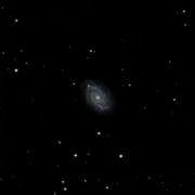 UGC 9736