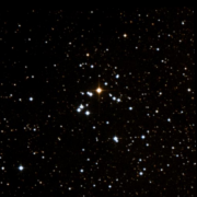 NGC 7031