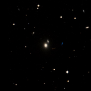 IC 219