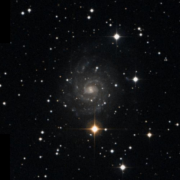 IC 239