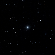 IC 442