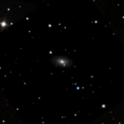 IC 499