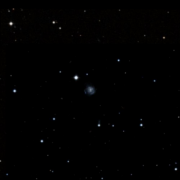 IC 1113