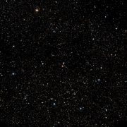 IC 1305