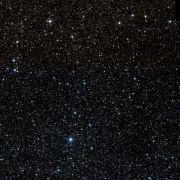 IC 1307