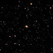 IC 1309