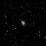 IC 1313