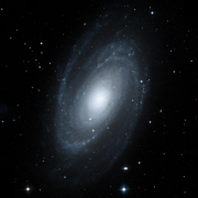 M81