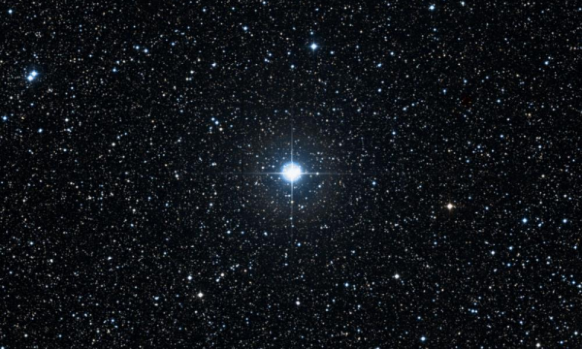 11-Aql (Star) - In-The-Sky.org