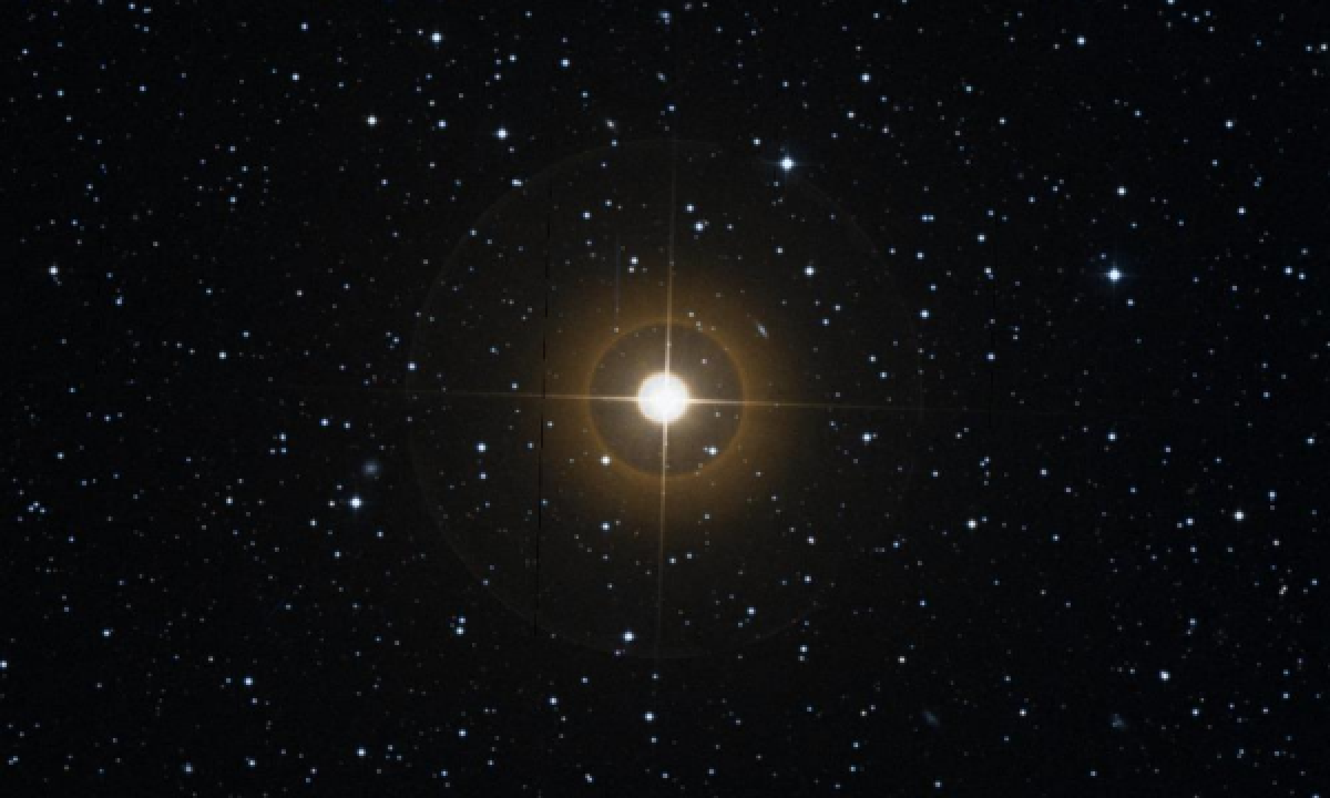 HIP-89981 (Star) 