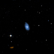 NGC 954