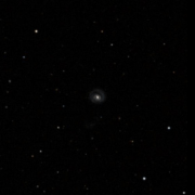 IC 2941