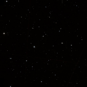 IC 2954