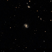 NGC 1019