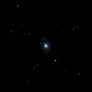 NGC 1137