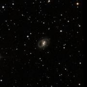 NGC 1207