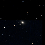 NGC 1239