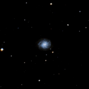 NGC 1310