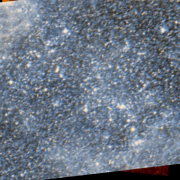 NGC 2037