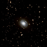 NGC 2196