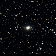 NGC 2501