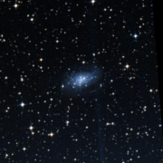 NGC 2836