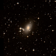 NGC 3100