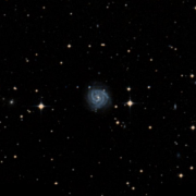 NGC 3208