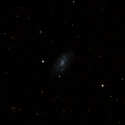 NGC 3443