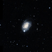 NGC 4981