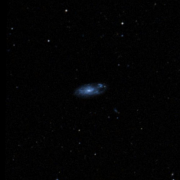 NGC 491